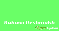 Kakaso Deshmukh pune india