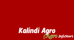 Kalindi Agro surat india