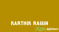 Karthik Raisin