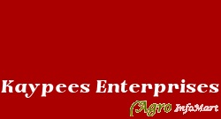 Kaypees Enterprises pune india