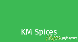 KM Spices patan india
