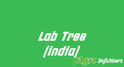 Lab Tree (india) ambala india