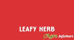 Leafy Herb