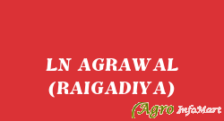 LN AGRAWAL (RAIGADIYA)