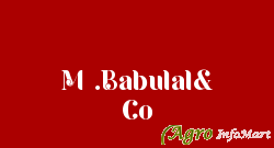 M .Babulal& Co gandhinagar india