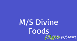 M/S Divine Foods mumbai india