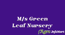 M/s Green Leaf Nursery