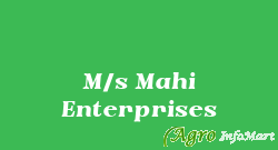 M/s Mahi Enterprises lucknow india