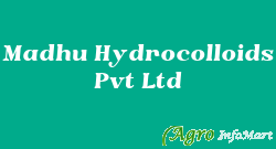Madhu Hydrocolloids Pvt Ltd  ahmedabad india