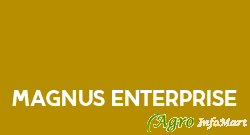 Magnus Enterprise