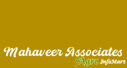 Mahaveer Associates bhilai india