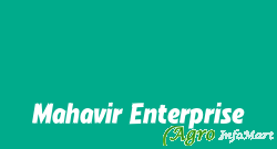 Mahavir Enterprise