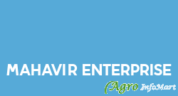 Mahavir Enterprise