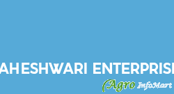 Maheshwari Enterprises delhi india