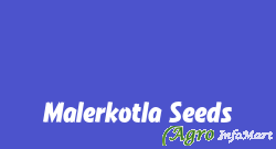 Malerkotla Seeds
