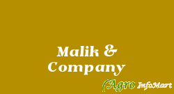 Malik & Company delhi india