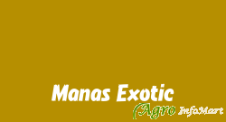 Manas Exotic pune india