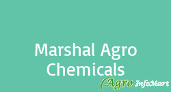 Marshal Agro Chemicals vapi india