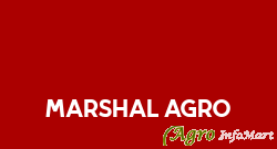 Marshal Agro ahmedabad india