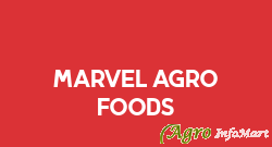 Marvel Agro Foods chennai india