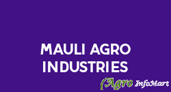 Mauli Agro Industries ahmednagar india