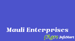 Mauli Enterprises nashik india