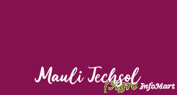 Mauli Techsol pune india