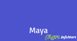 Maya chennai india