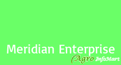 Meridian Enterprise