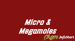 Micro & Megamoles pune india