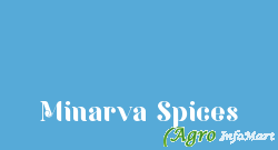 Minarva Spices rajkot india