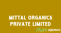 Mittal Organics Private Limited