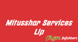 Mitusshar Services Llp