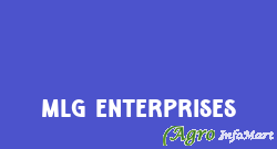 Mlg Enterprises delhi india