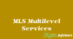 MLS Multilevel Services delhi india