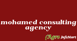mohamed consulting agency