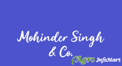Mohinder Singh & Co. delhi india