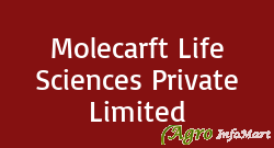 Molecarft Life Sciences Private Limited hyderabad india