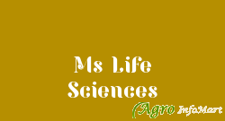 Ms Life Sciences hyderabad india