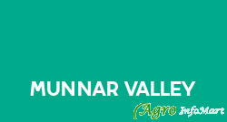 Munnar Valley