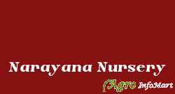 Narayana Nursery hosur india