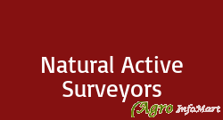 Natural Active Surveyors