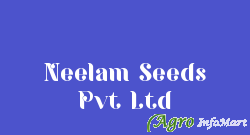 Neelam Seeds Pvt Ltd junagadh india