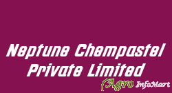 Neptune Chempastel Private Limited jaipur india