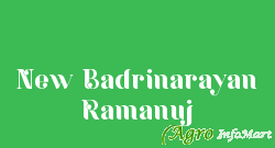 New Badrinarayan Ramanuj hyderabad india