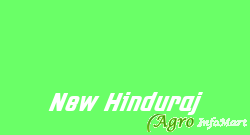 New Hinduraj varanasi india