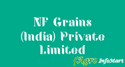 NF Grains (India) Private Limited delhi india