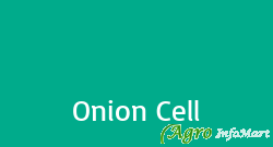 Onion Cell