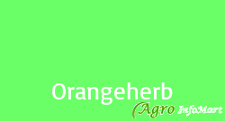 Orangeherb delhi india