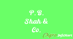 P. B. Shah & Co.